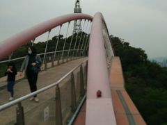 -金鸡山公园