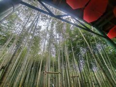 -陶祖圣境风景区