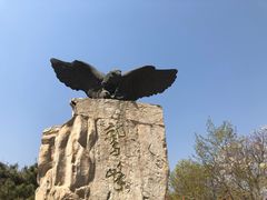-北京鹫峰国家森林公园