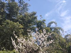 -望江楼公园