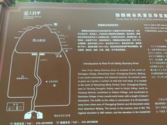 -大岭沟猕猴桃谷风景区