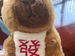 -浅深Cheersum(曹杨店)