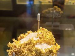 -安徽省地质博物馆