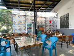 -遇龙河大樟树农家乐