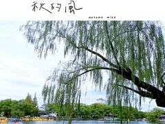 -月湖公园