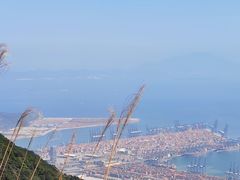 -梧桐山风景名胜区