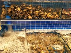 水产区-乔哥铭洋海鲜自助(皇城恒隆广场店)