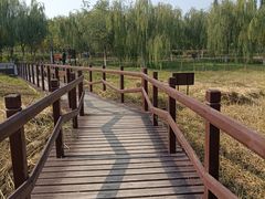 -西青郊野公园