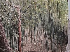 -品湘宴·湖南宁乡菜