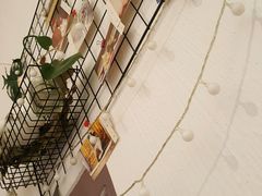-豆老板的猫咖啡(碑林博物馆店)