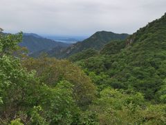 -大岭沟猕猴桃谷风景区