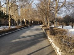 -长春公园(普阳街道)