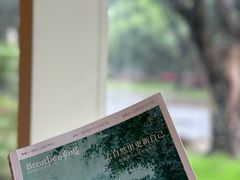 -白鹭洲公园