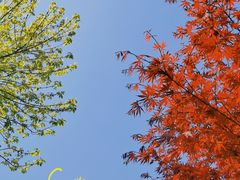 -大连植物园