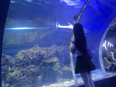 -江和美海洋公园