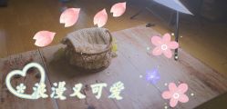 -爱陪伴尊享月子中心(国际店)