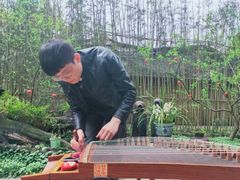 -爱乐蒙艺术·古筝 钢琴 声乐(科华校区)