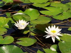 -天津东丽湖风景区