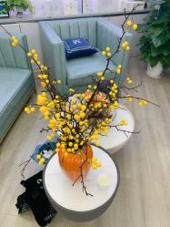 -白博士祛痘·皮肤管理中心