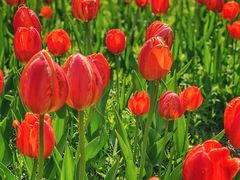 -长春公园(普阳街道)