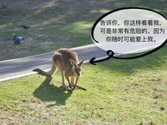 -可伦宾野生动物保护区