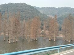 -东钱湖旅游度假区