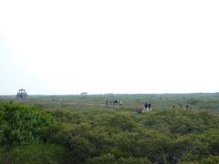 -北海金海湾红树林生态旅游区