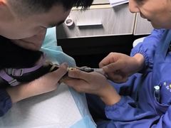 -半岛宠物医院24小时(科华中路店)