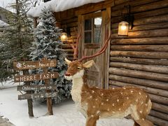 -HERRE·FARM 赫尔露营农场·团建聚会包场