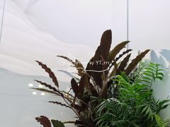 景观位-大树餐厅(朝阳大悦城店)