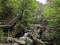 -牛背梁国家森林公园