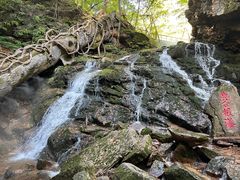 -五女峰国家森林公园