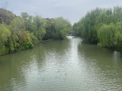 -同里国家湿地公园