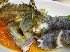 清蒸石斑鱼-忆海南海鲜(椰风巷第一市场店)