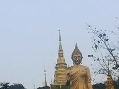 -西双版纳原始森林公园