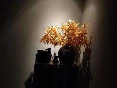 -Dragonfly 悠庭·按摩Spa(苏州中心广场店)