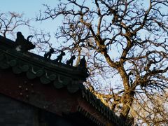 -国家图书馆·古籍馆