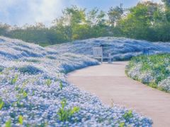 -上海辰山植物园