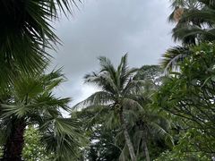 -深圳湾公园(南山区)