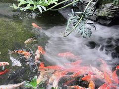 -顺德渔村·岭南一号