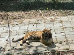 -深圳野生动物园