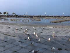 -东港音乐喷泉广场