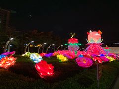 -映月湖公园