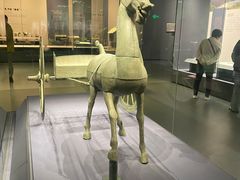 -贵州省博物馆(新馆)