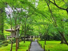 -三千院
