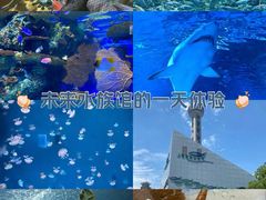 -上海海洋水族馆