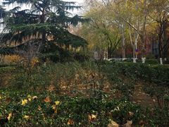 -山东大学(千佛山校区)