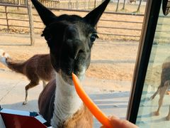 -南京金牛湖风景区