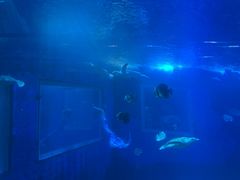 -太平洋海底世界