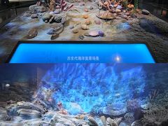 -天津自然博物馆
